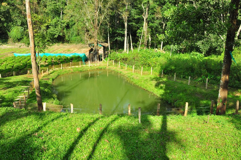 The Woods Resorts Wayanad Sultan Bathery Buitenkant foto