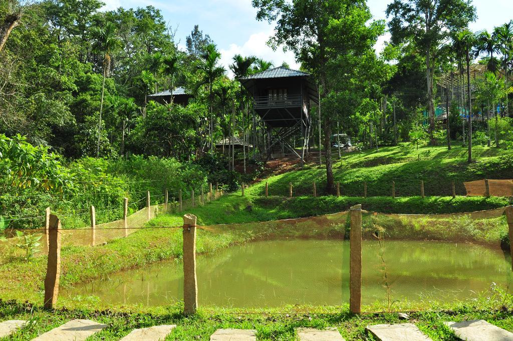 The Woods Resorts Wayanad Sultan Bathery Buitenkant foto