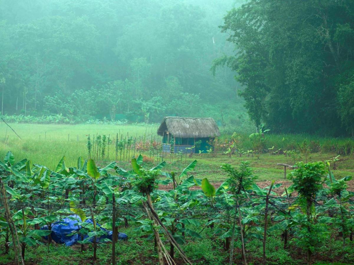 The Woods Resorts Wayanad Sultan Bathery Buitenkant foto