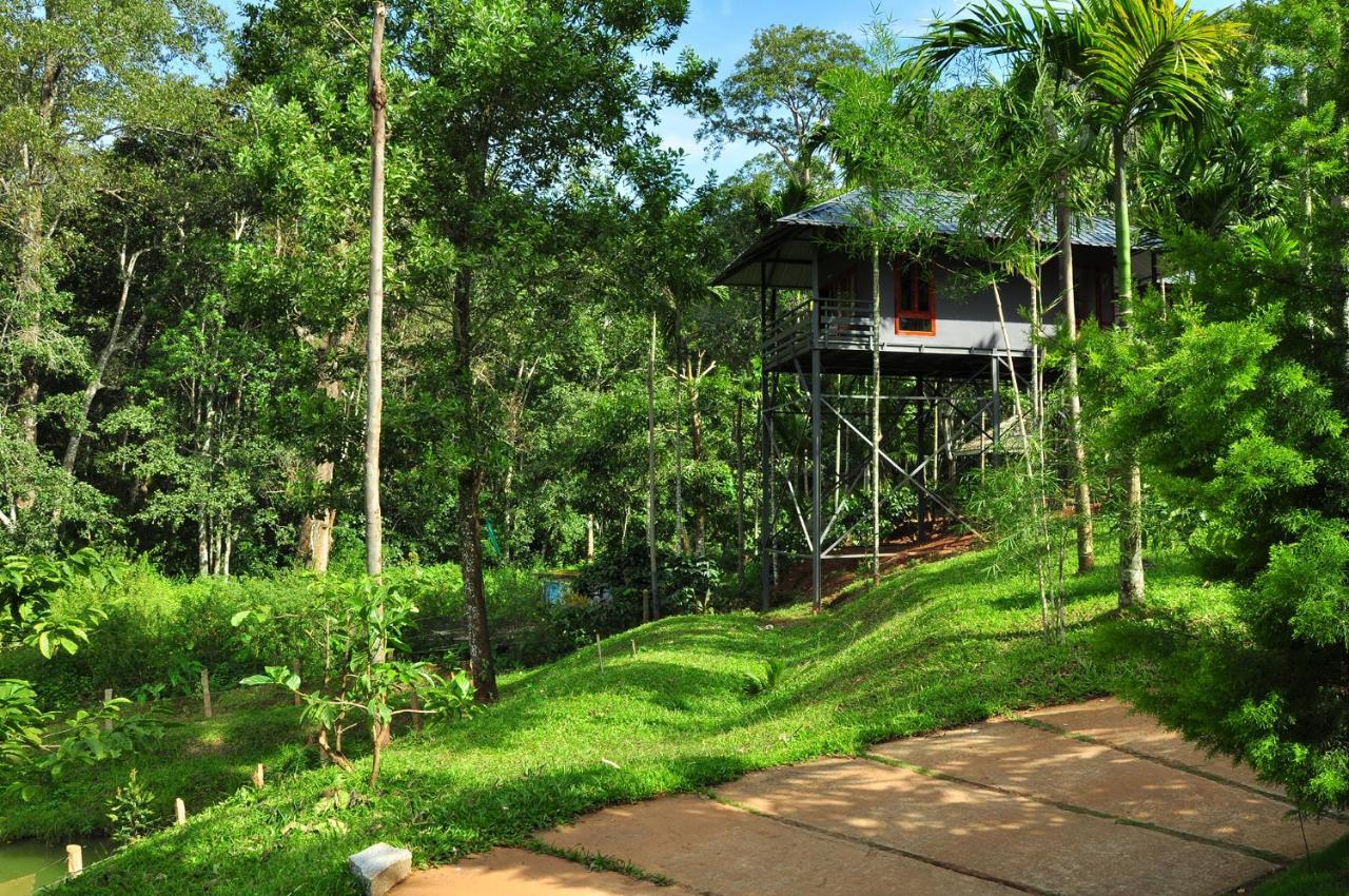 The Woods Resorts Wayanad Sultan Bathery Buitenkant foto