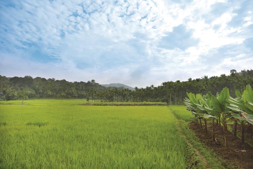 The Woods Resorts Wayanad Sultan Bathery Buitenkant foto