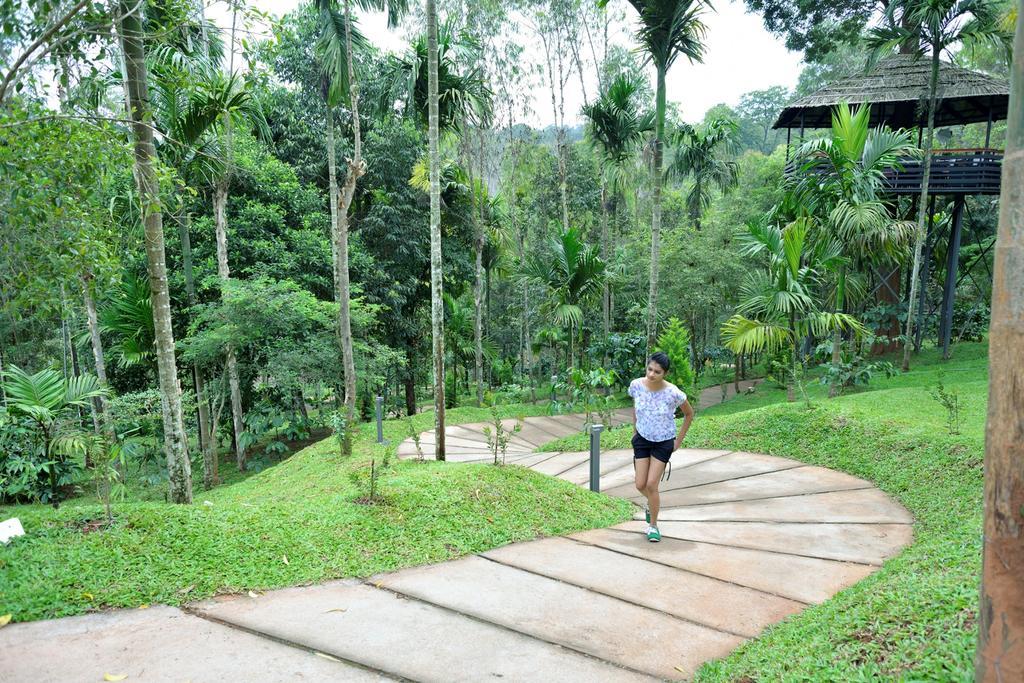The Woods Resorts Wayanad Sultan Bathery Buitenkant foto