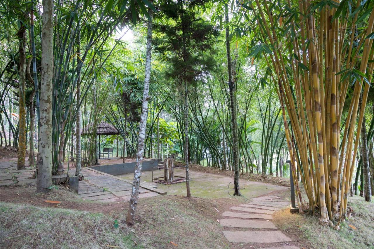 The Woods Resorts Wayanad Sultan Bathery Buitenkant foto