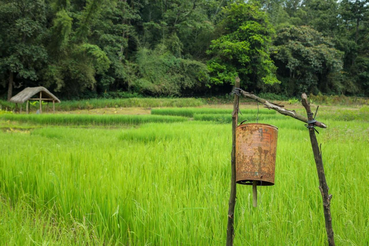 The Woods Resorts Wayanad Sultan Bathery Buitenkant foto