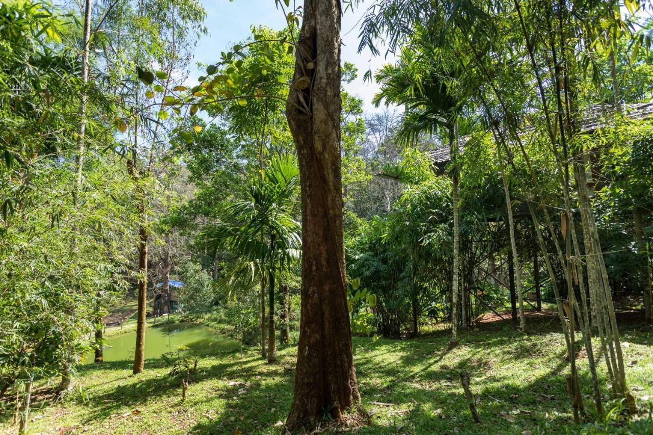 The Woods Resorts Wayanad Sultan Bathery Buitenkant foto
